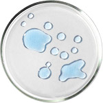 الأحماض الأمينية - عناية بالبشرة NMF