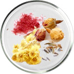 مستحضرات العناية بالبشرة بالـ سيراميد