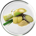 العناية بالبشرة بحمض الجليكوليك