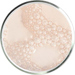 مستحضرات العناية بالبشرة بحمض اللاكتيك