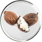 العناية بالبشرة بزبدة الشيا