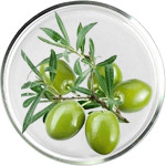 العناية بالبشرة بالسكوالان